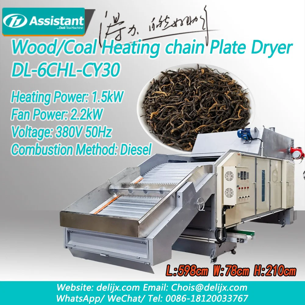 Trung Quốc Máy sấy chè băng tải xích liên tục chạy bằng diesel/khí đốt DL-6CHL-CY30 nhà chế tạo