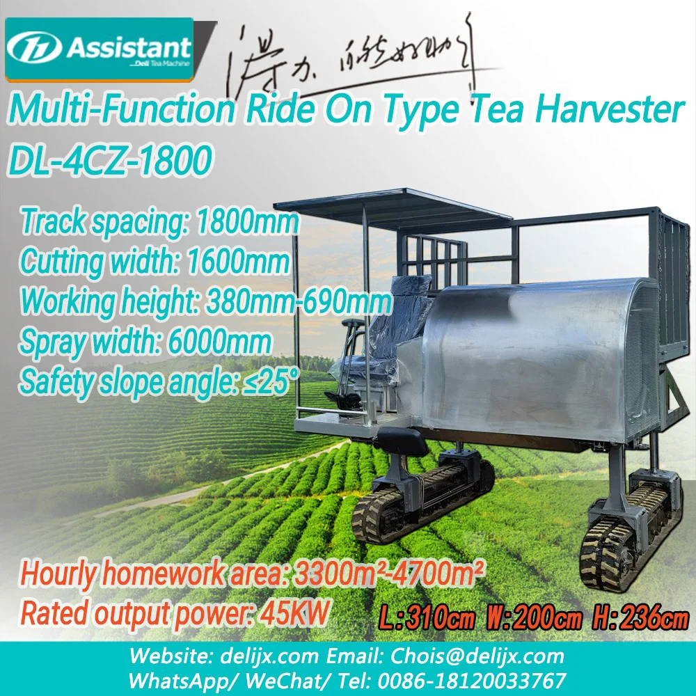 Trung Quốc Máy thu hoạch chè đa chức năng dành cho một người Máy nông nghiệp DL-4CZ-1800 nhà chế tạo