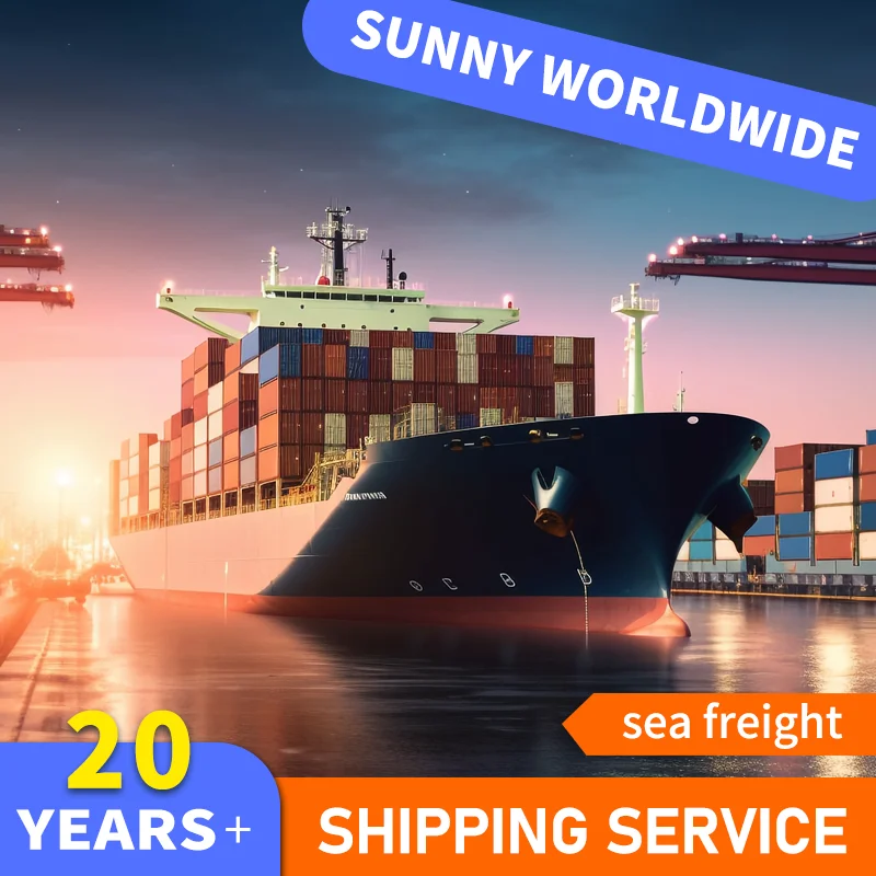 Cina SWWLS DDP Sea Freight Ocean Container da 20 piedi che spediscono in Somalia per la spedizione di escavatori Spedizionatore di merci